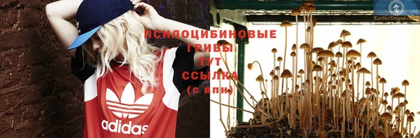 дмт Алексин