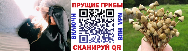 Псилоцибиновые грибы MAGIC MUSHROOMS  Невинномысск 